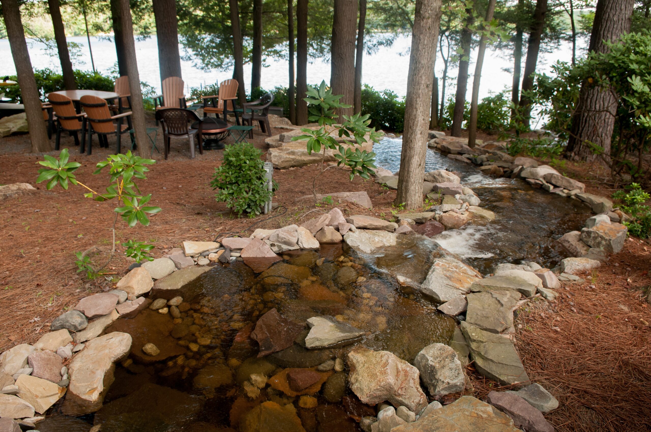 Low-voltage LED uplighting on trees and architectural features after dark